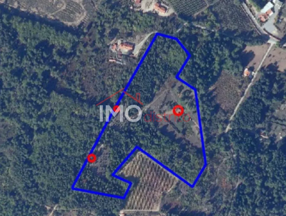 Quinta T0 - S, Portalegre, Portalegre - Miniatura: 9/9
