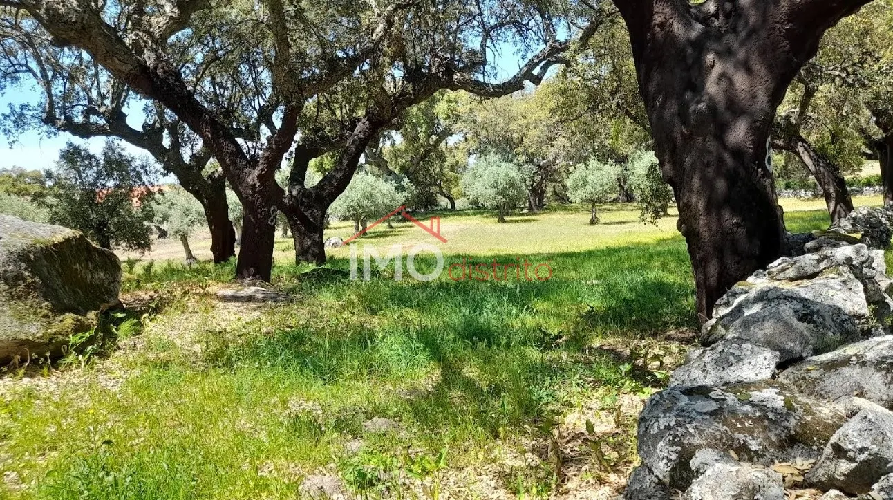 Terreno Rstico T0 - Beir, Marvo, Portalegre