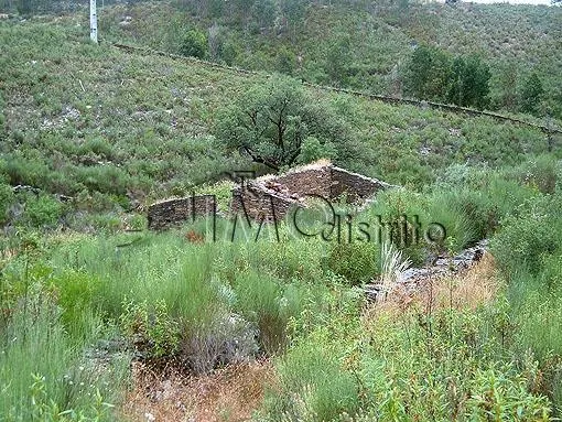 Terreno Rstico T0 - Reguengo, Portalegre, Portalegre