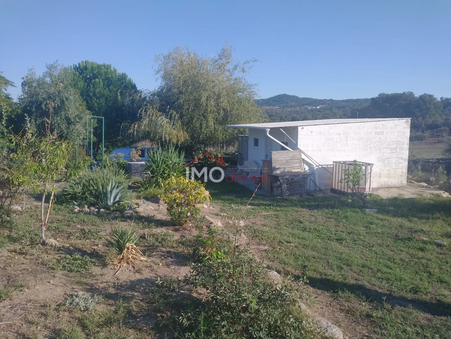 Terreno Rstico T0 - Alagoa, Portalegre, Portalegre - Miniatura: 1/9