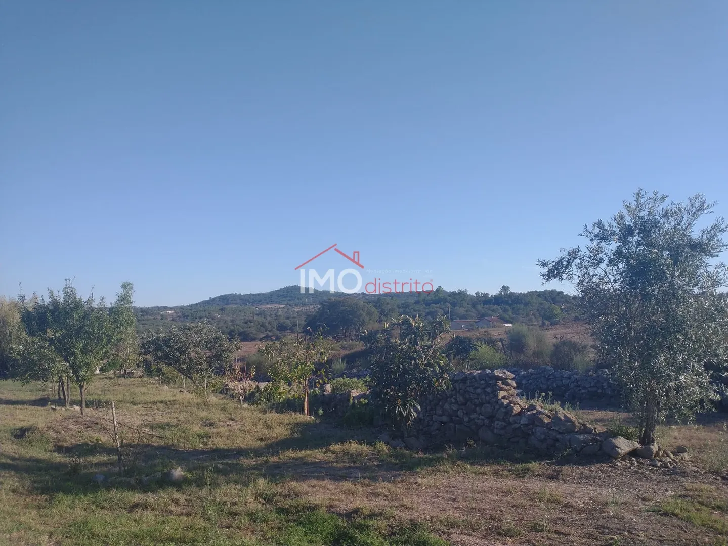 Terreno Rstico T0 - Alagoa, Portalegre, Portalegre - Miniatura: 6/9