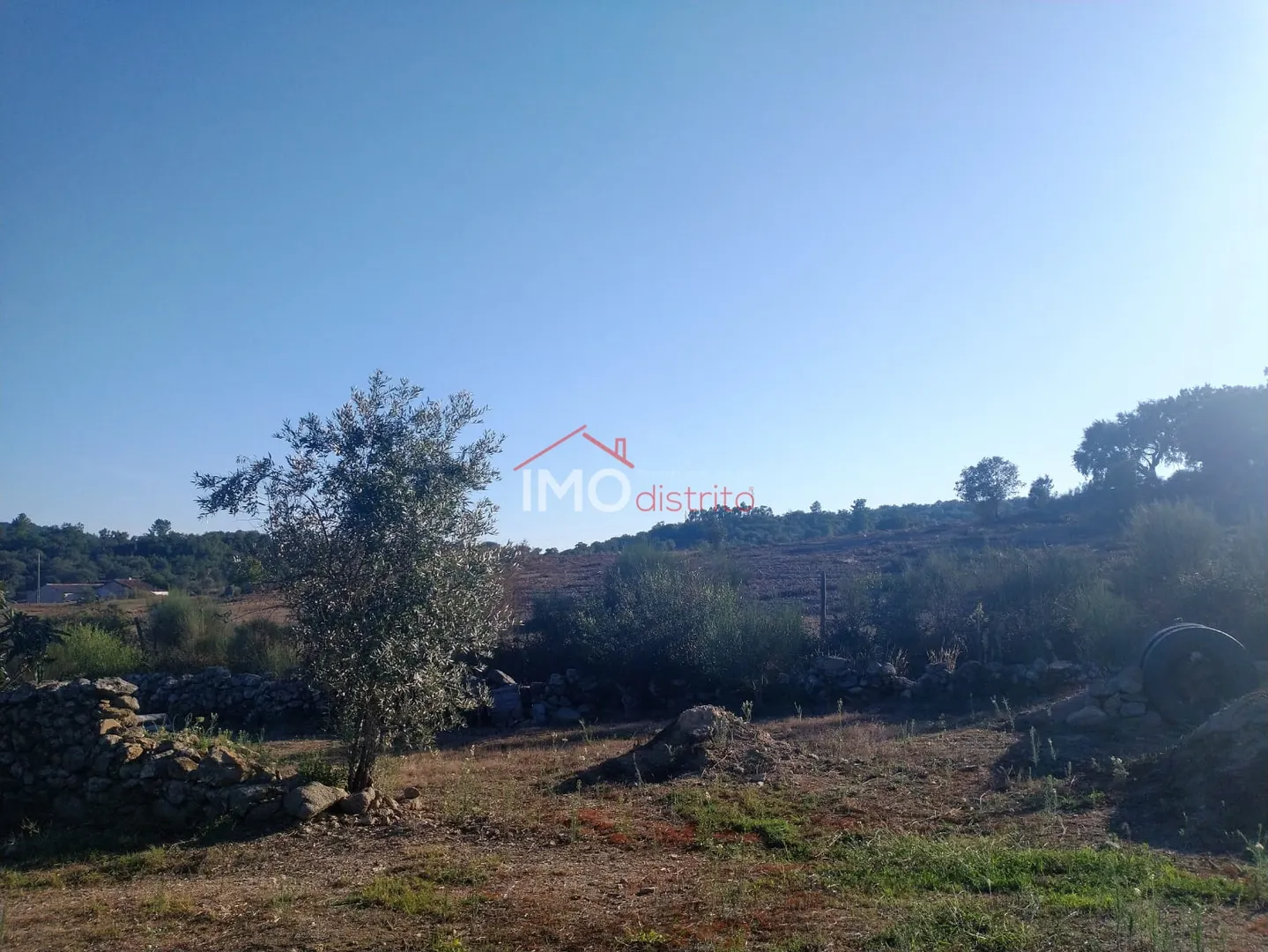 Terreno Rstico T0 - Alagoa, Portalegre, Portalegre - Miniatura: 9/9