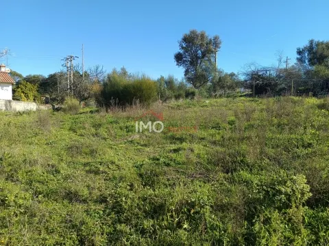 Terreno Urbano T0 - Alagoa, Portalegre, Portalegre - Miniatura: 4/9