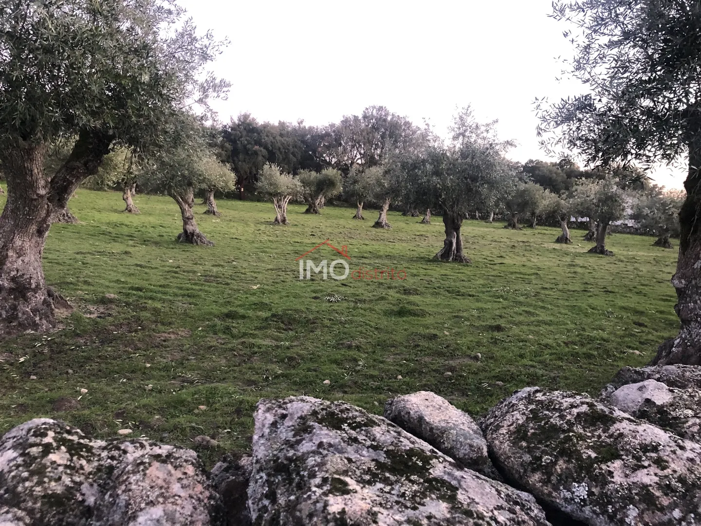 Terreno Rstico T0 - Beir, Marvo, Portalegre - Miniatura: 4/9