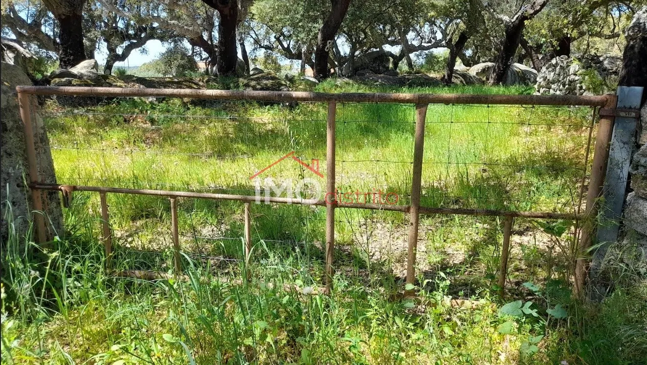 Terreno Rstico T0 - Beir, Marvo, Portalegre - Miniatura: 5/9