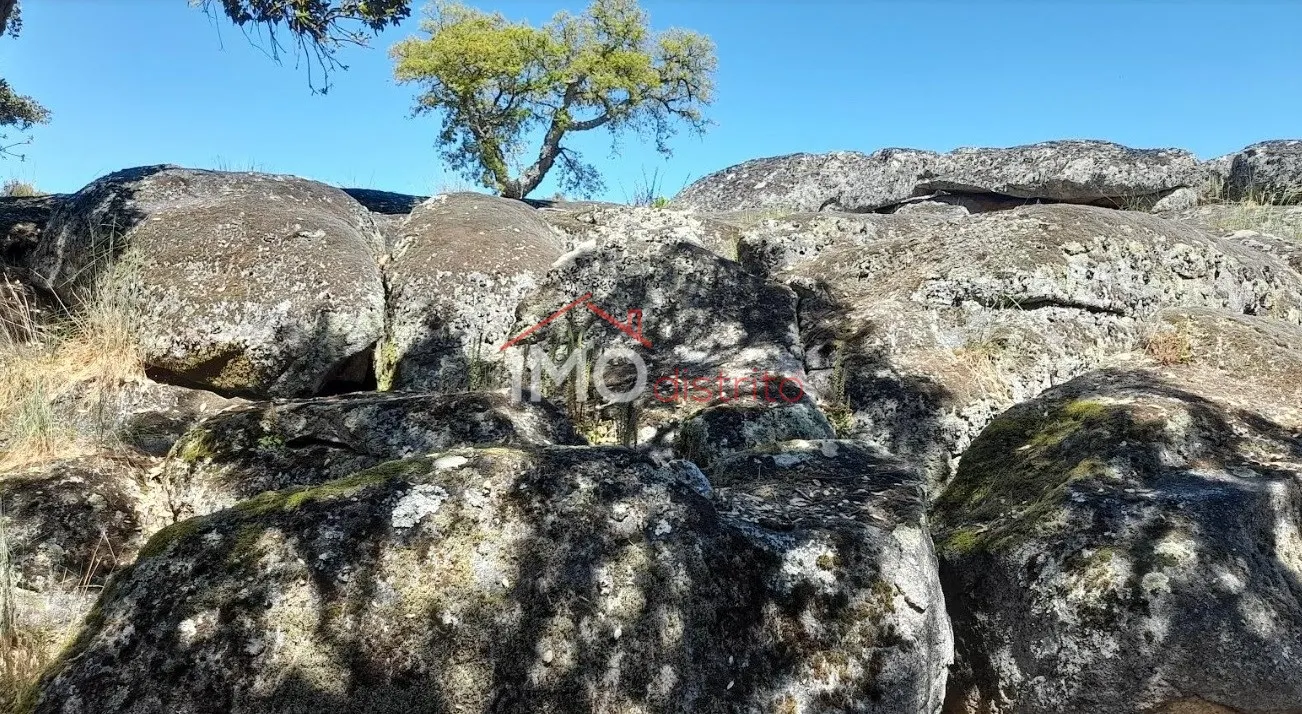 Terreno Rstico T0 - Beir, Marvo, Portalegre - Miniatura: 6/9