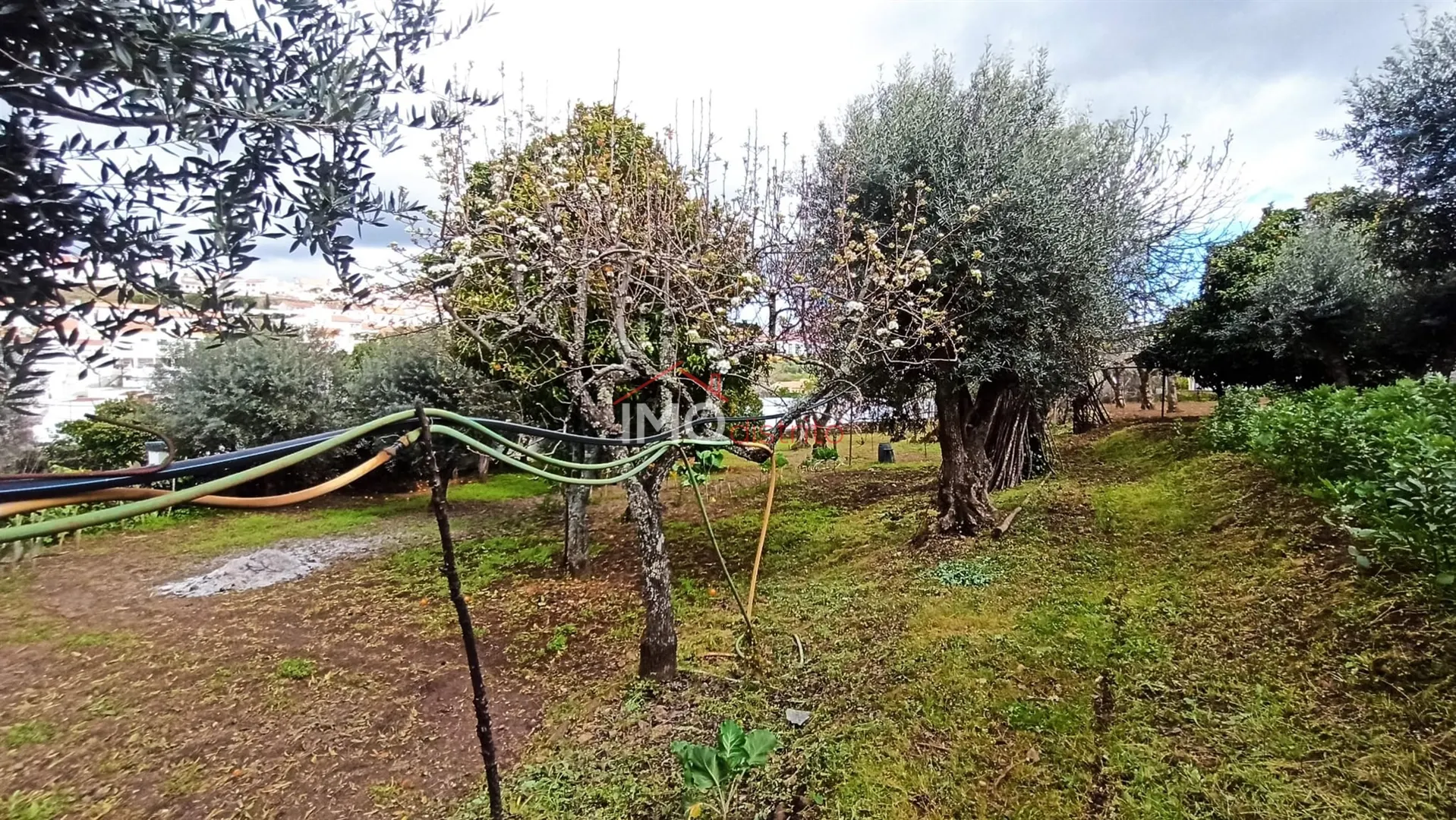 Moradia T3 - So Joo Batista, Castelo de Vide, Portalegre - Miniatura: 9/9