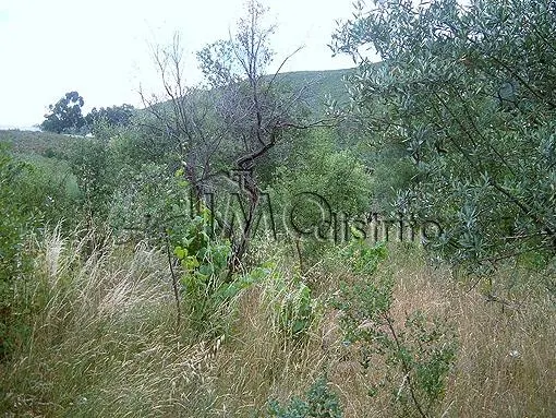 Terreno Rstico T0 - Reguengo, Portalegre, Portalegre - Miniatura: 9/9