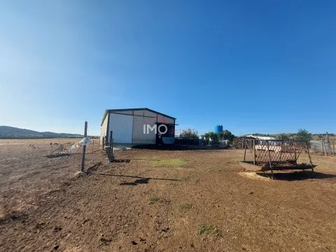 Terreno Urbano T0 - Vaia Monte, Monforte, Portalegre - Miniatura: 6/9