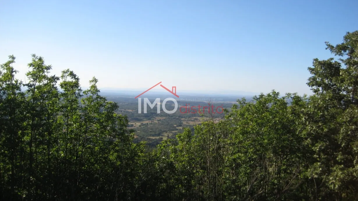 Terreno R�stico T0 - Santa Maria de Marv�o, Marv�o, Portalegre - Imagem grande