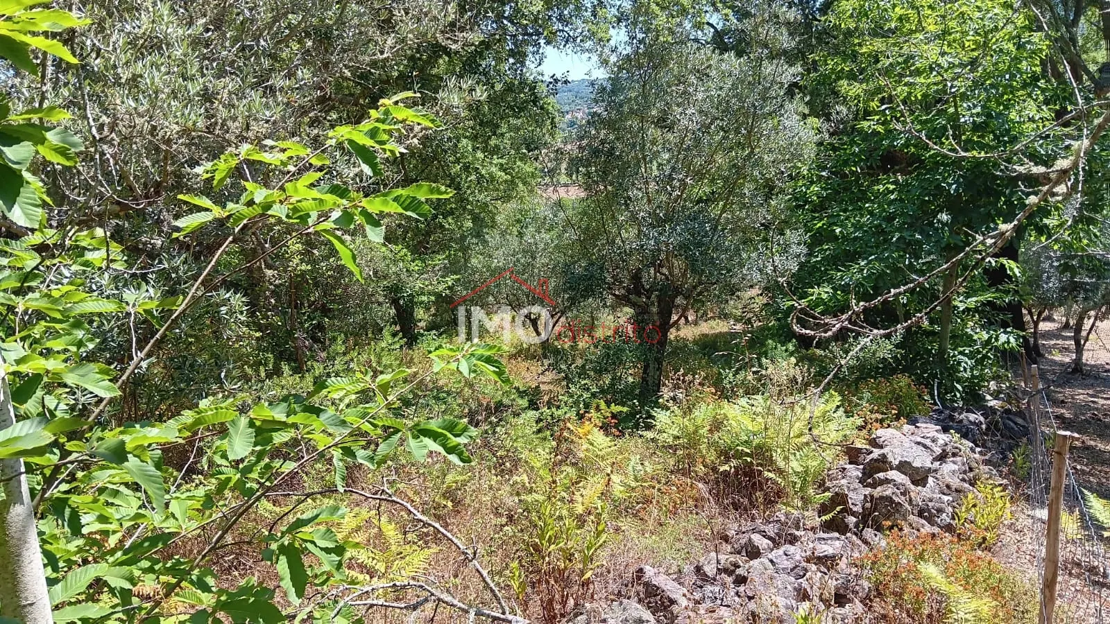 Terreno R�stico T0 - S�o Salvador da Aramenha, Marv�o, Portalegre