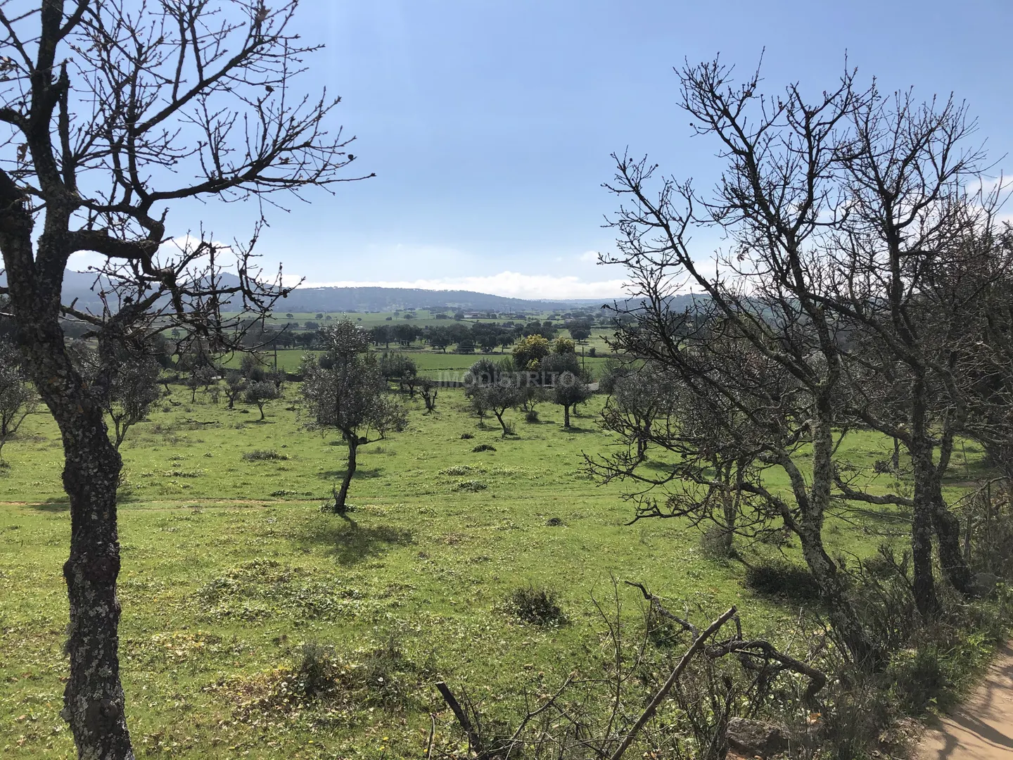 Terreno Rstico T0 - Alegrete, Portalegre, Portalegre
