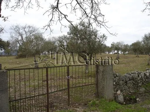 Terreno Rstico T0 - So Salvador da Aramenha, Marvo, Portalegre