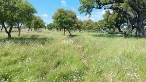 Terreno R�stico T0 - Santo Ant�nio das Areias, Marv�o, Portalegre