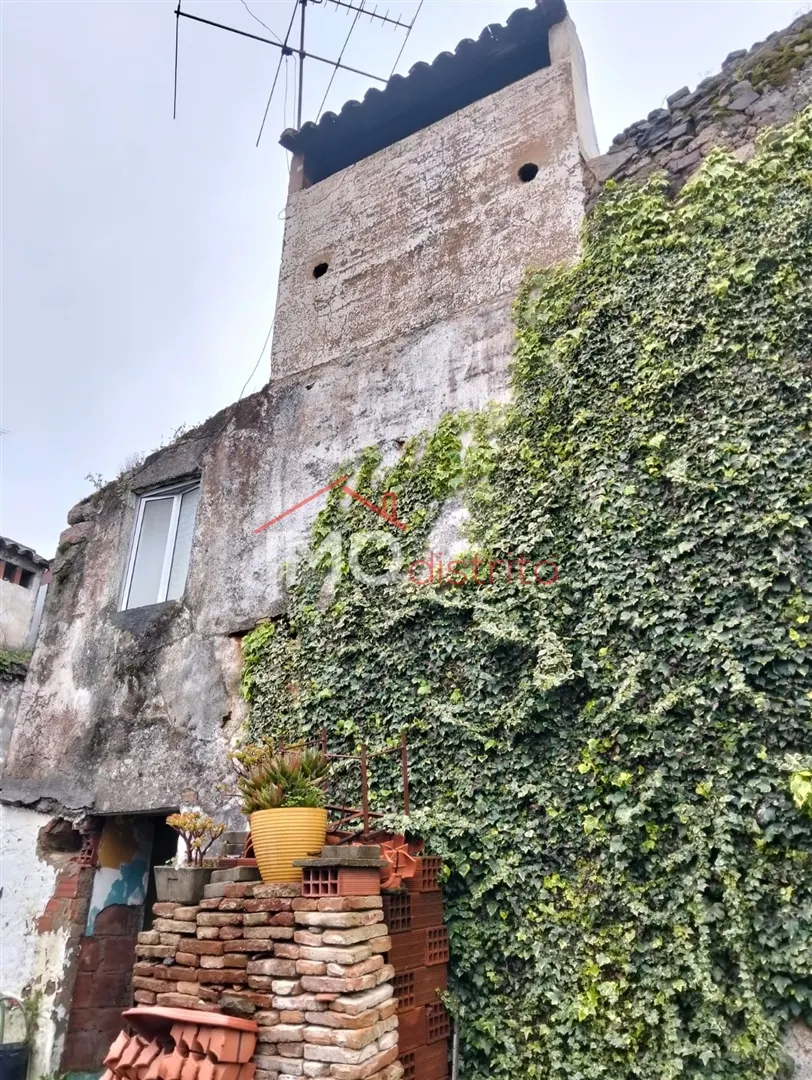 Apartamento T0 - Esprito Santo, Nisa, Portalegre - Miniatura: 1/9