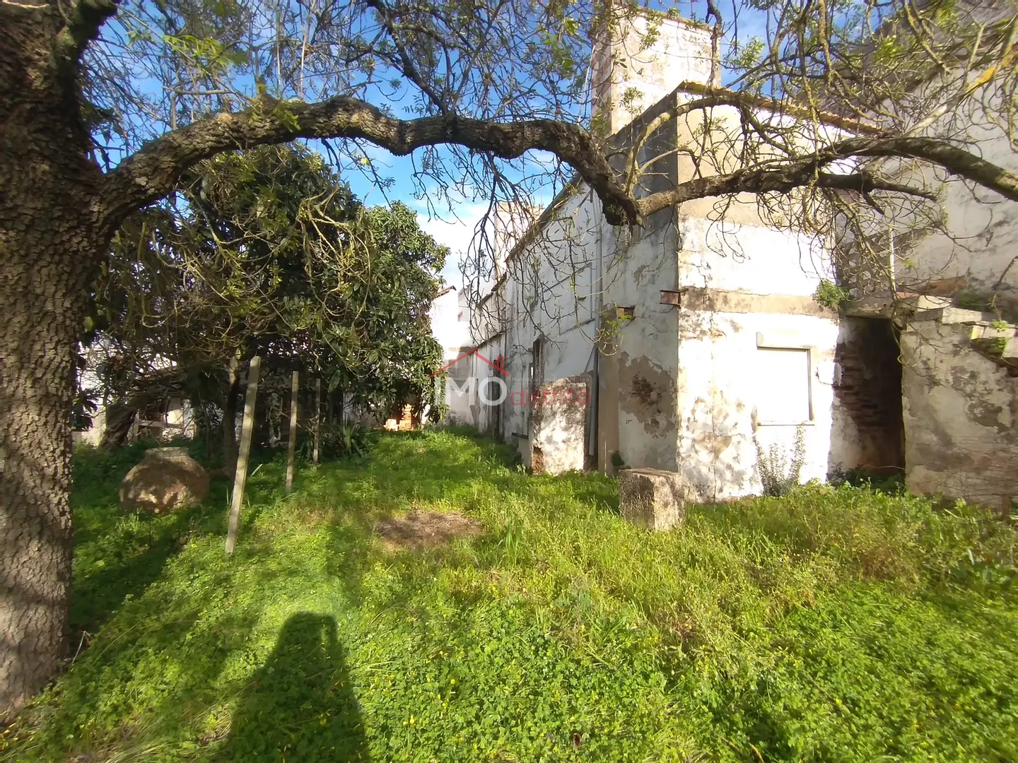 Moradia T0 - Fronteira, Fronteira, Portalegre - Miniatura: 3/9