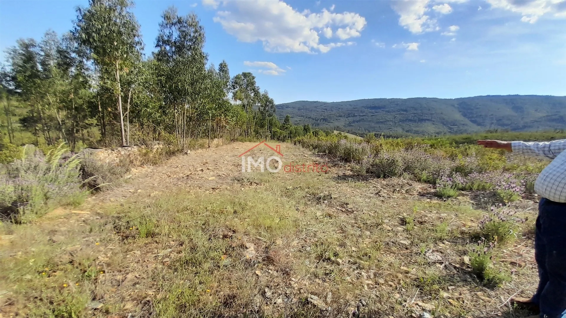 Terreno Rstico T0 - Reguengo, Portalegre, Portalegre - Miniatura: 2/9