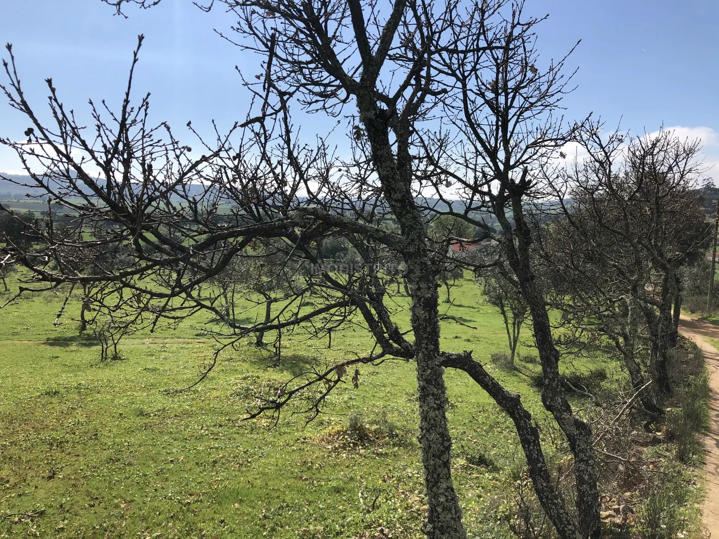 Terreno Rstico T0 - Alegrete, Portalegre, Portalegre - Miniatura: 3/9