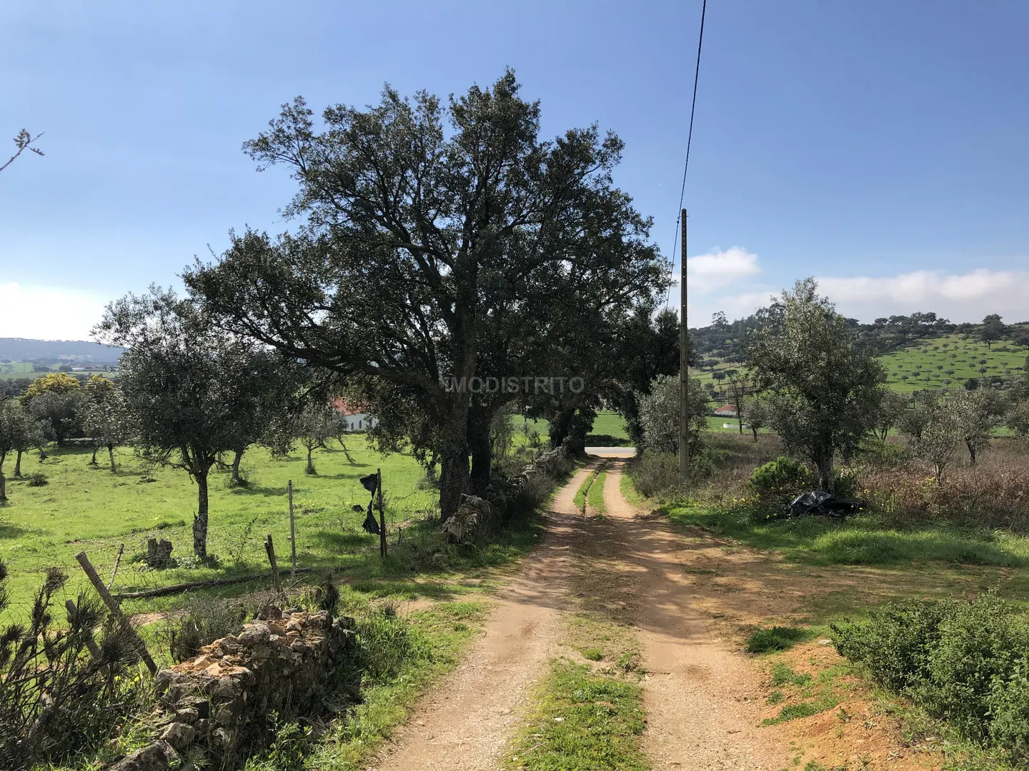 Terreno Rstico T0 - Alegrete, Portalegre, Portalegre - Miniatura: 4/9