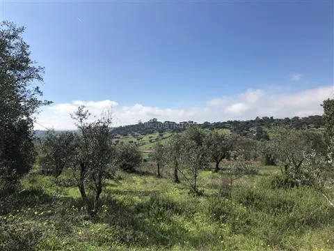 Terreno Rstico T0 - Alegrete, Portalegre, Portalegre - Miniatura: 8/9