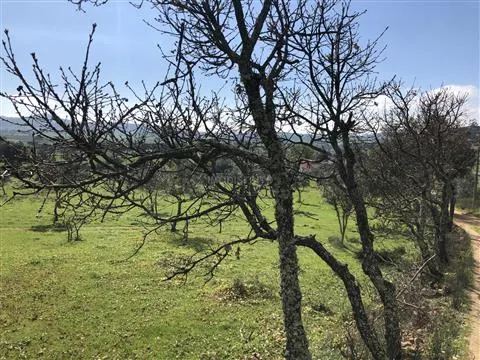 Terreno Rstico T0 - Alegrete, Portalegre, Portalegre - Miniatura: 9/9