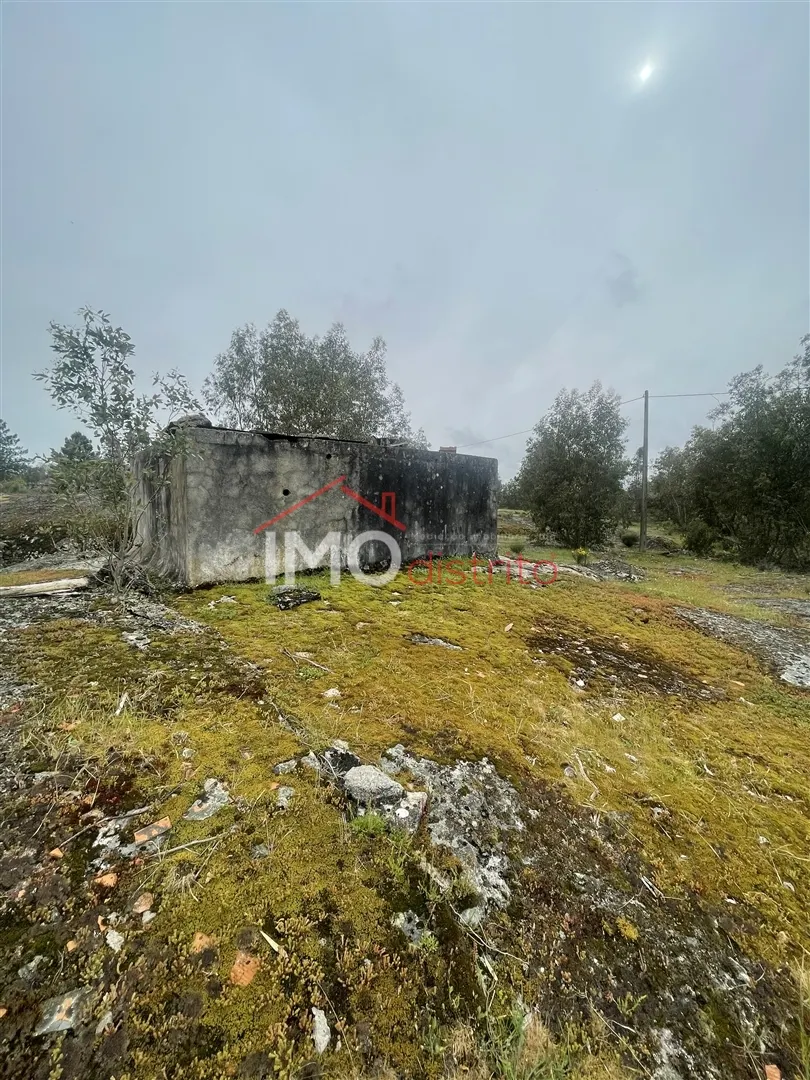 Terreno Rstico T0 - Santa Maria da Devesa, Castelo de Vide, Portalegre