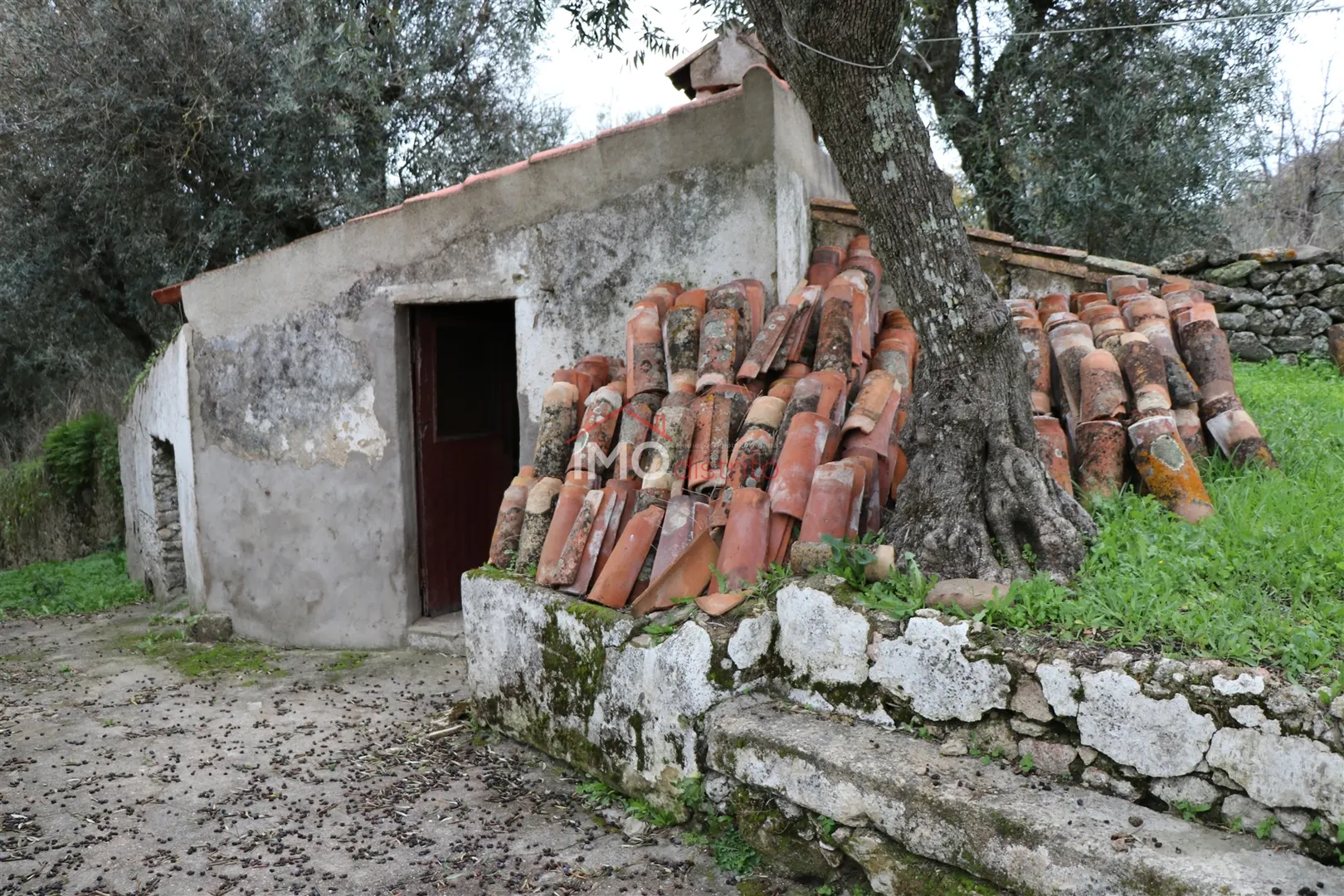Quinta T0 - Santa Maria da Devesa, Castelo de Vide, Portalegre - Miniatura: 2/9