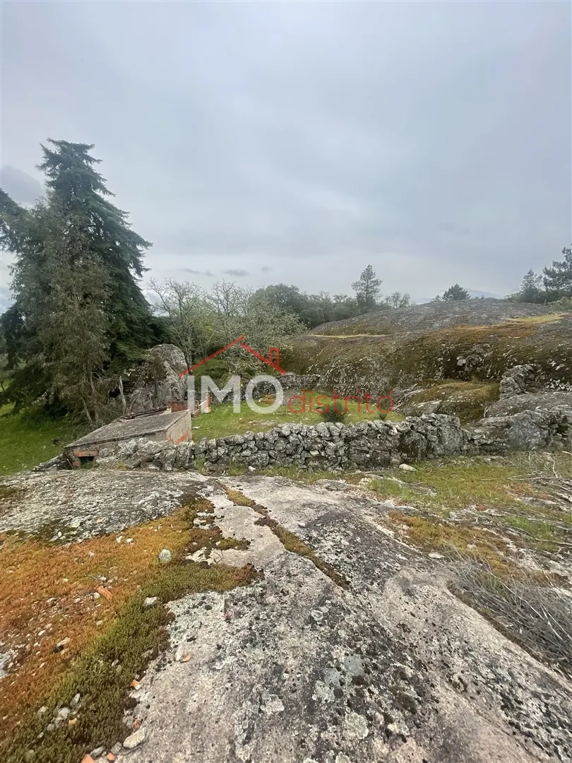 Terreno Rstico T0 - Santa Maria da Devesa, Castelo de Vide, Portalegre - Miniatura: 3/9