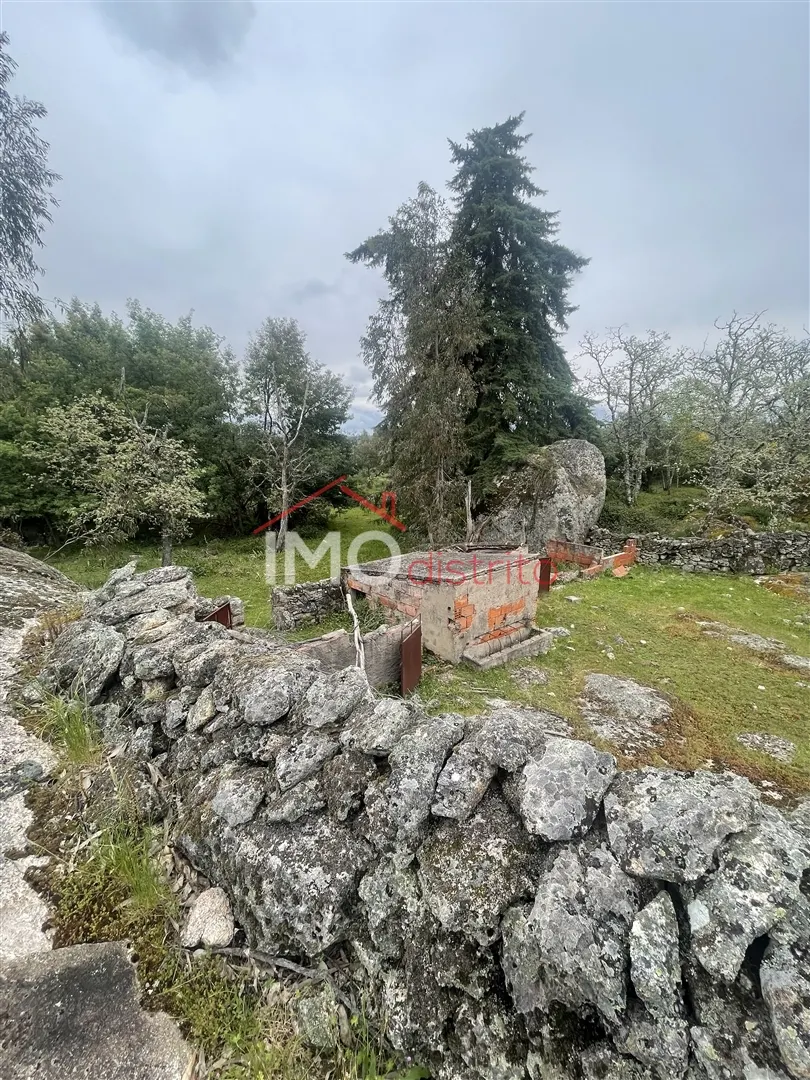 Terreno Rstico T0 - Santa Maria da Devesa, Castelo de Vide, Portalegre - Miniatura: 4/9