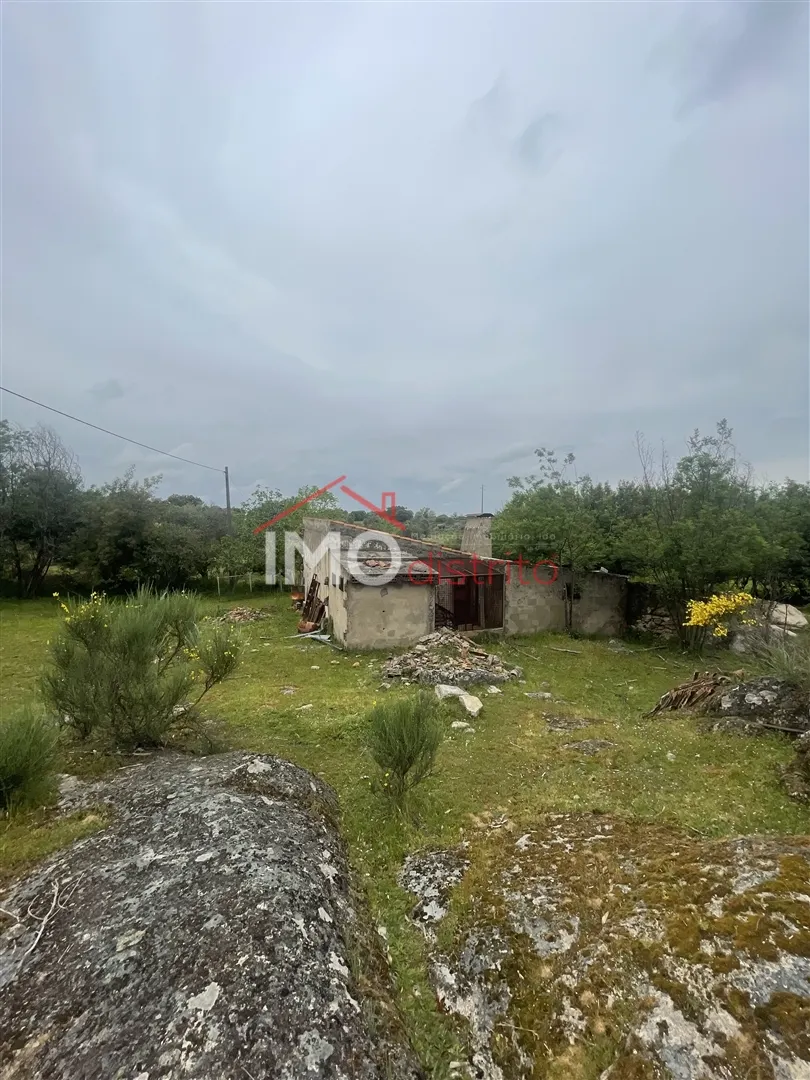 Terreno Rstico T0 - Santa Maria da Devesa, Castelo de Vide, Portalegre - Miniatura: 5/9