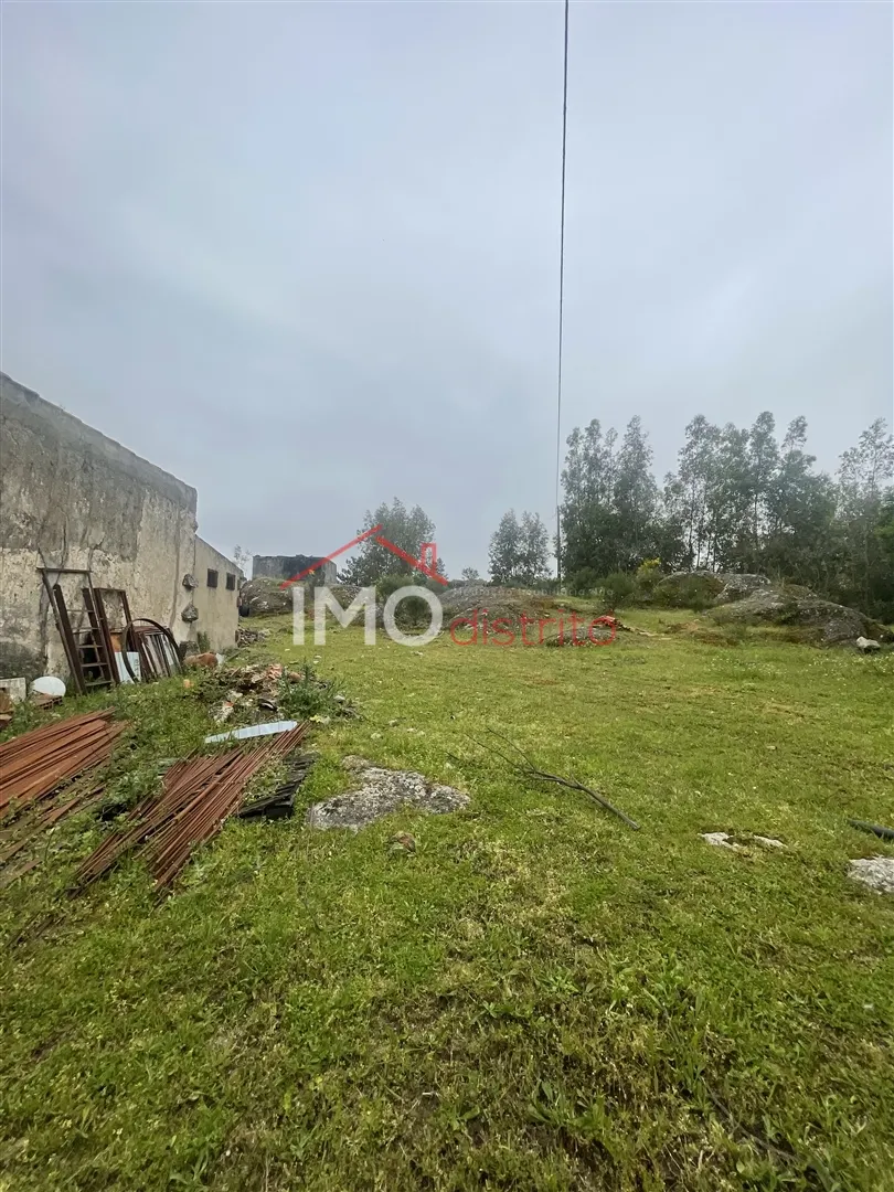 Terreno Rstico T0 - Santa Maria da Devesa, Castelo de Vide, Portalegre - Miniatura: 8/9