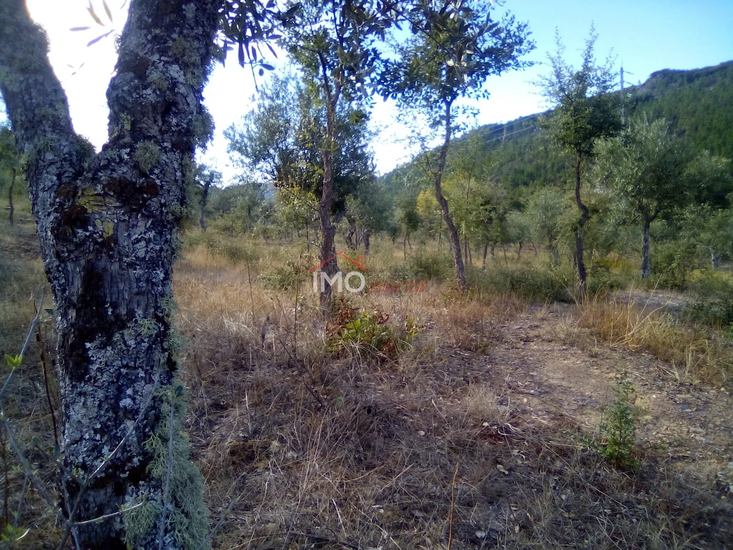 Terreno Rústico T0 - São Salvador da Aramenha, Marvão, Portalegre - Miniatura: 6/9