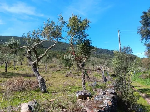 Terreno Rústico T0 - São Salvador da Aramenha, Marvão, Portalegre - Miniatura: 9/9