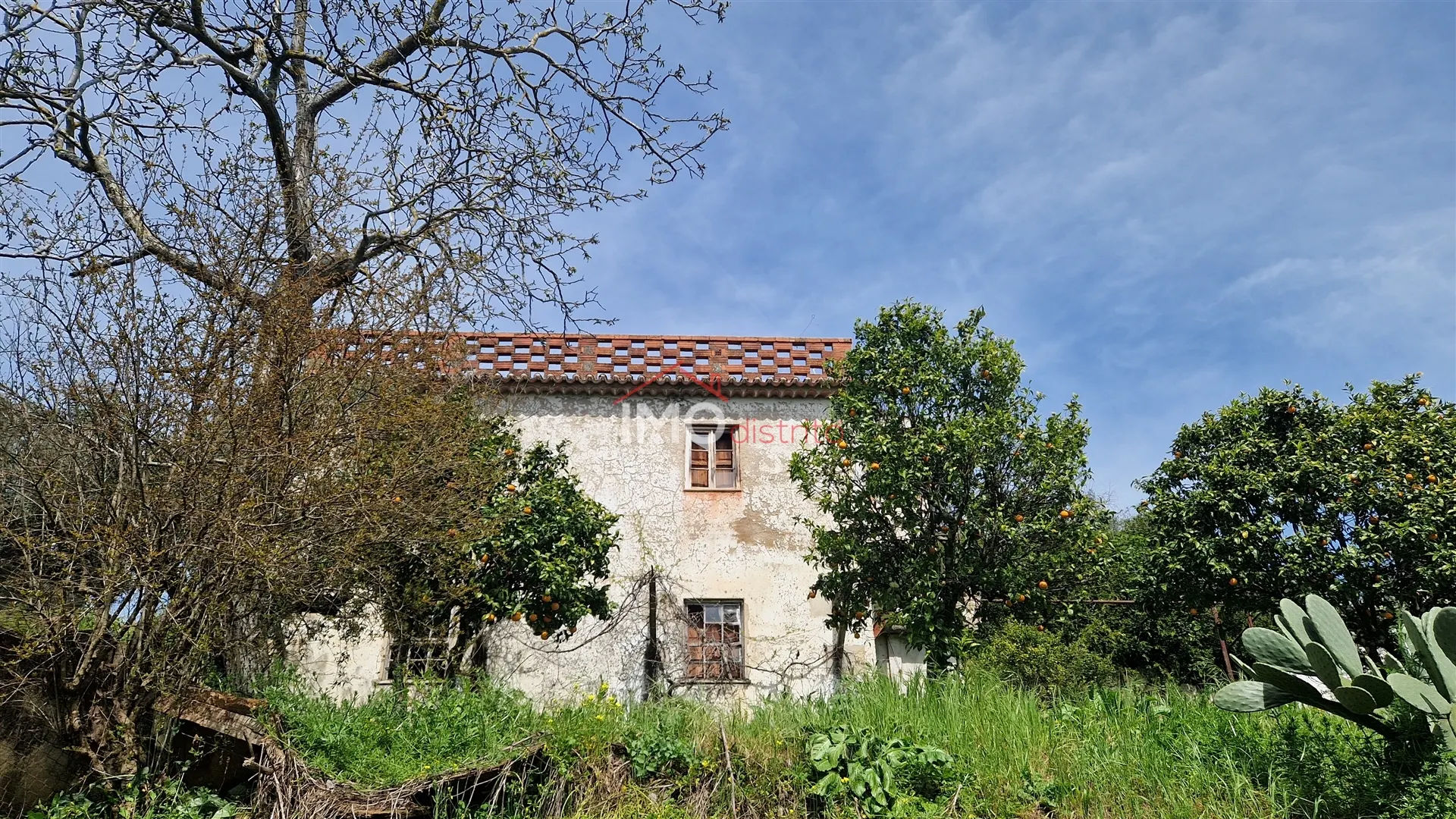 Quinta T4 - São João Batista, Castelo de Vide, Portalegre - Miniatura: 1/9