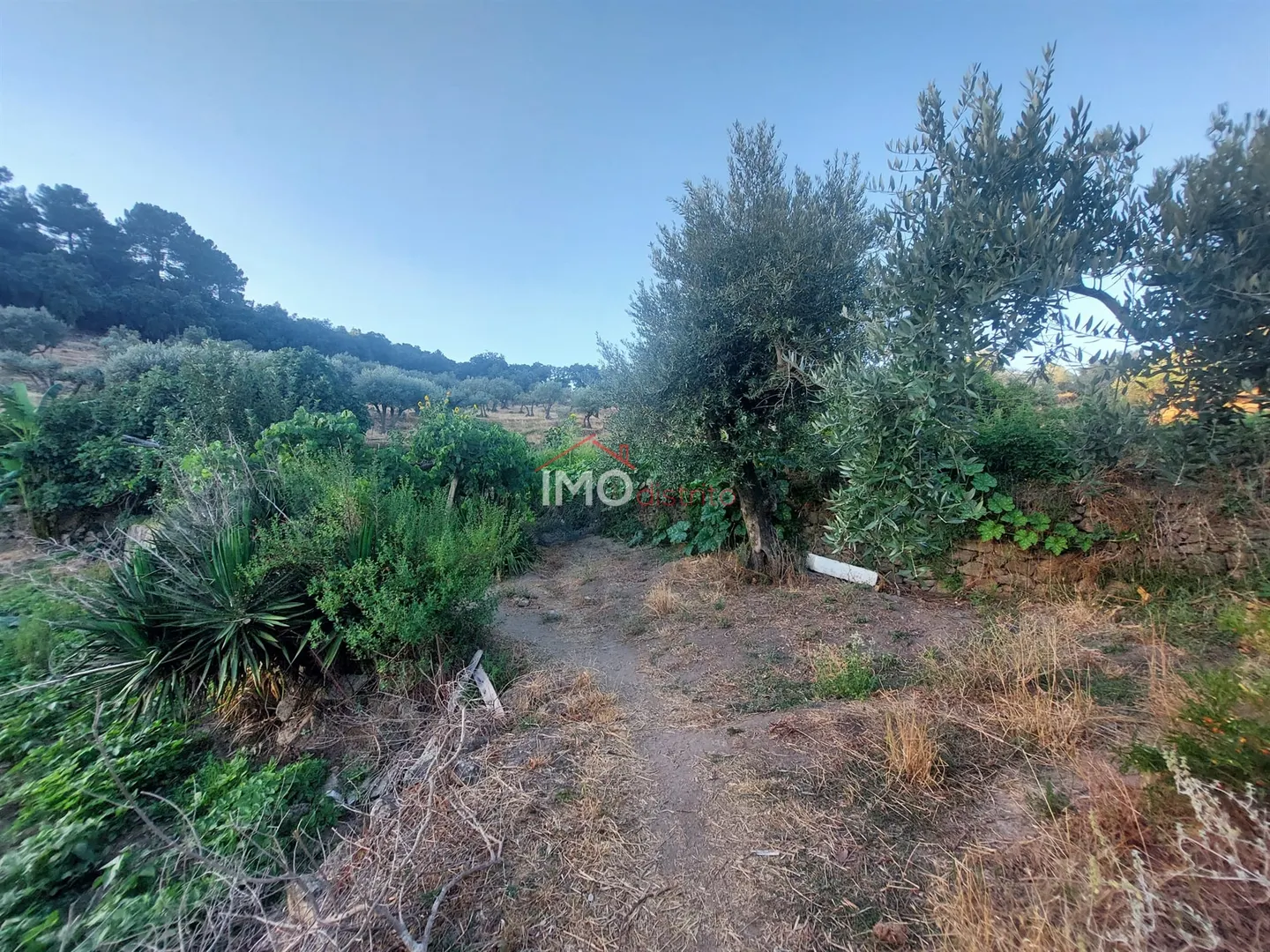 Quinta T3 - S, Portalegre, Portalegre - Miniatura: 4/9