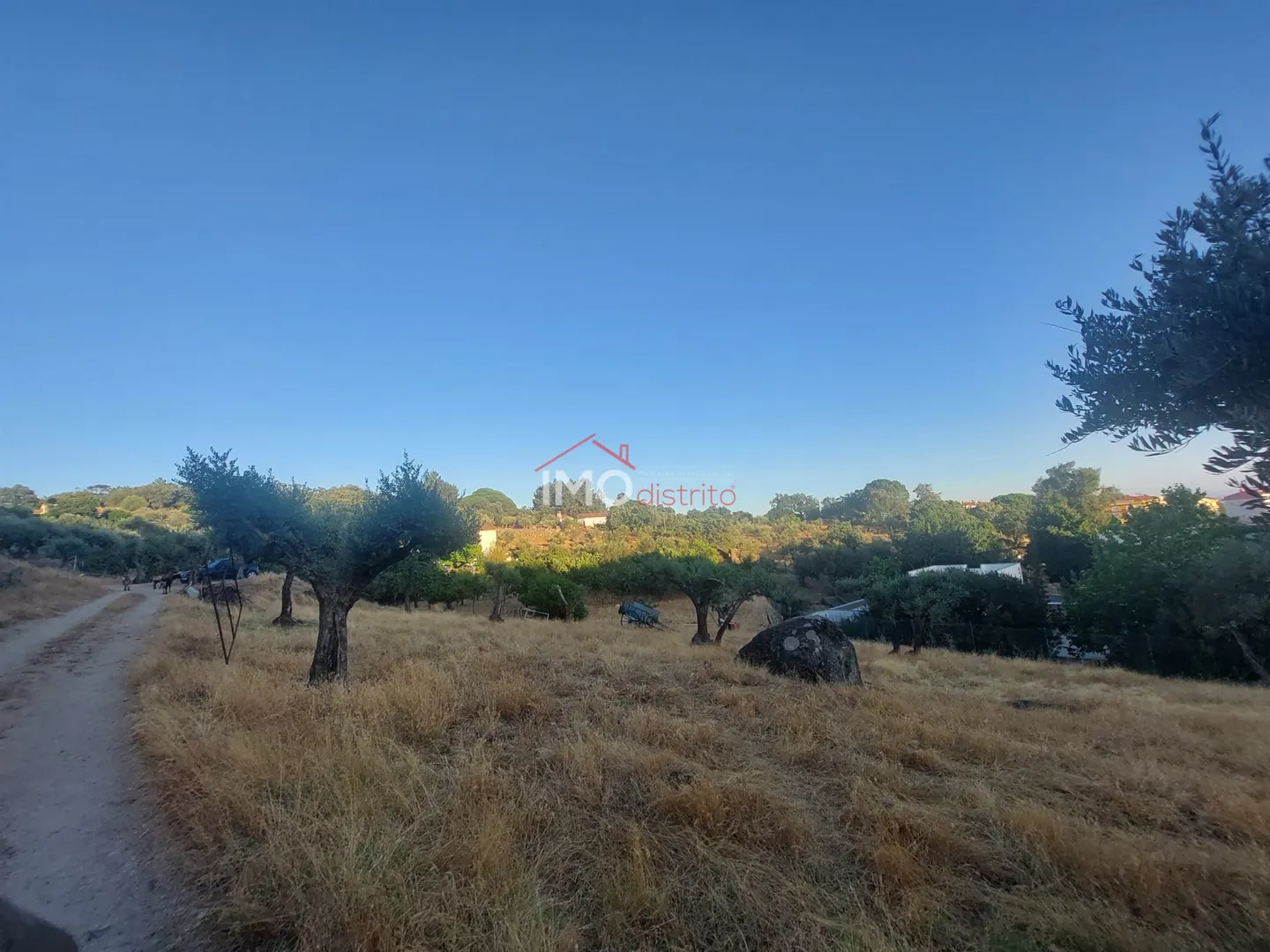 Quinta T3 - S, Portalegre, Portalegre - Miniatura: 5/9