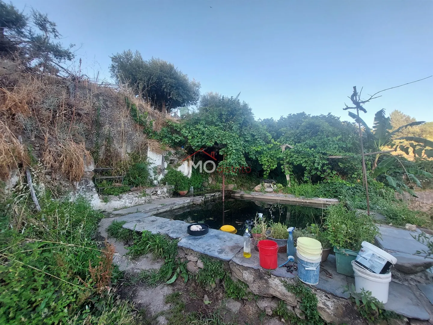 Quinta T3 - S, Portalegre, Portalegre - Miniatura: 6/9