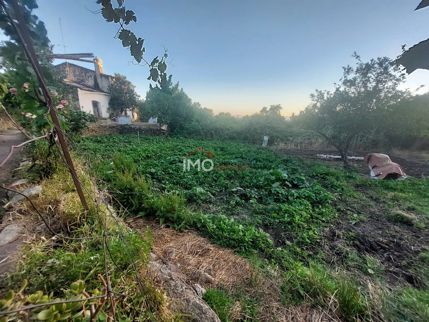 Quinta T3 - S, Portalegre, Portalegre - Miniatura: 7/9