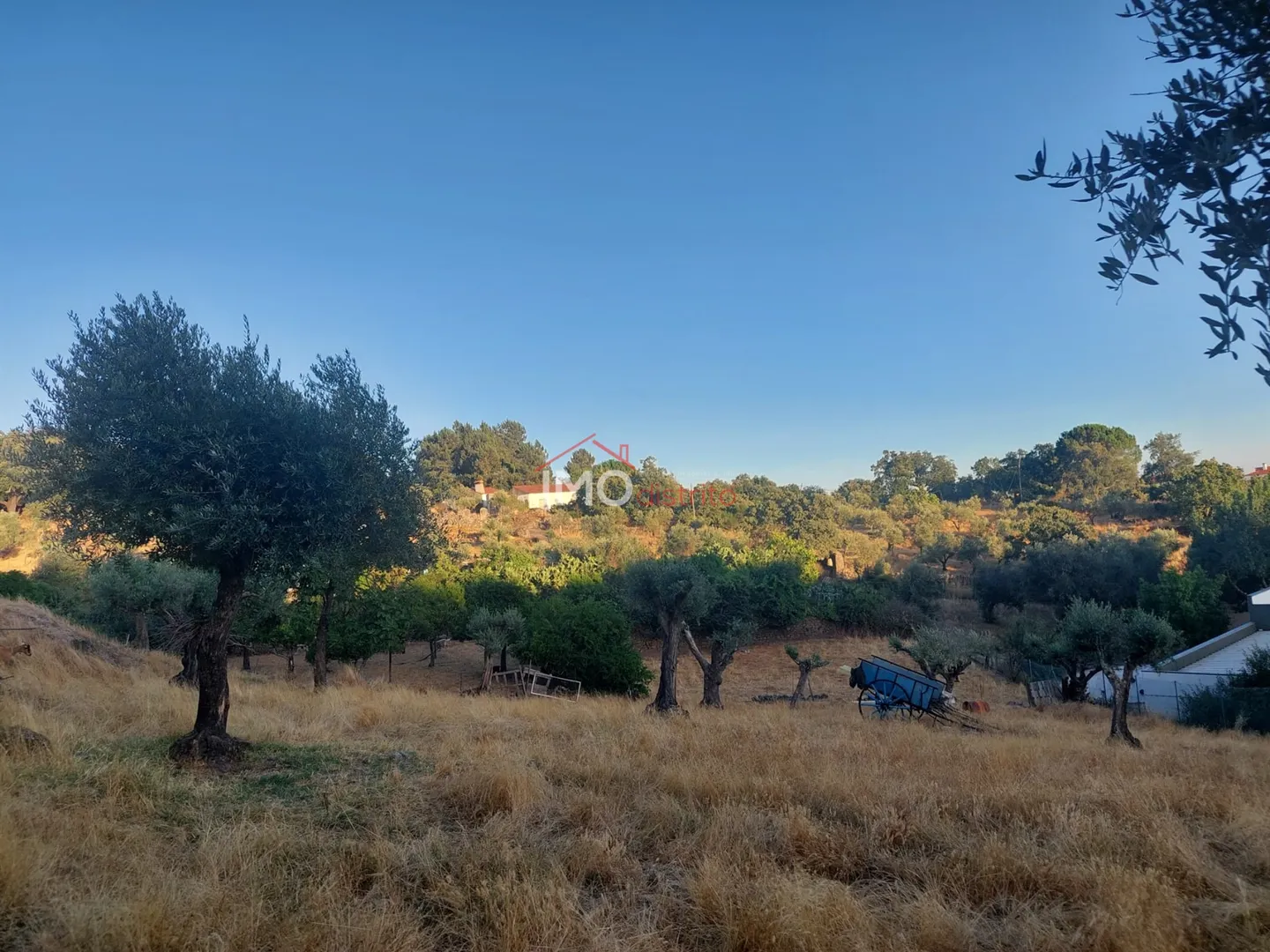 Quinta T3 - S, Portalegre, Portalegre - Miniatura: 9/9