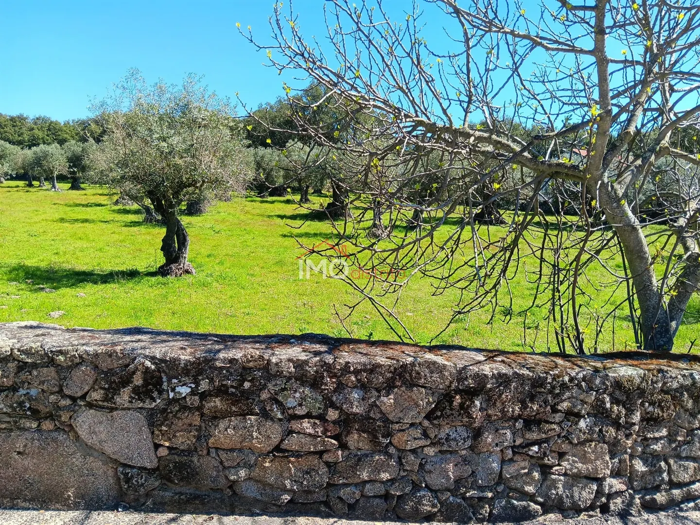 Terreno Rústico T0 - Beirã, Marvão, Portalegre - Imagem grande