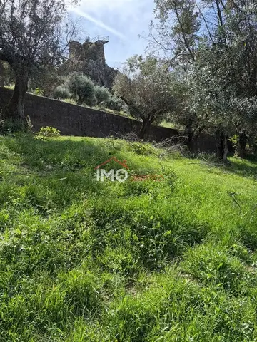 Terreno R�stico T0 - Alegrete, Portalegre, Portalegre - Imagem grande