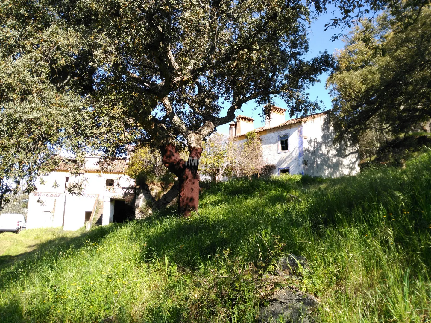 Quinta T6 - Ribeira de Nisa, Portalegre, Portalegre