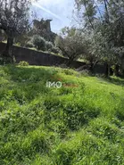 Terreno R�stico T0 - Alegrete, Portalegre, Portalegre