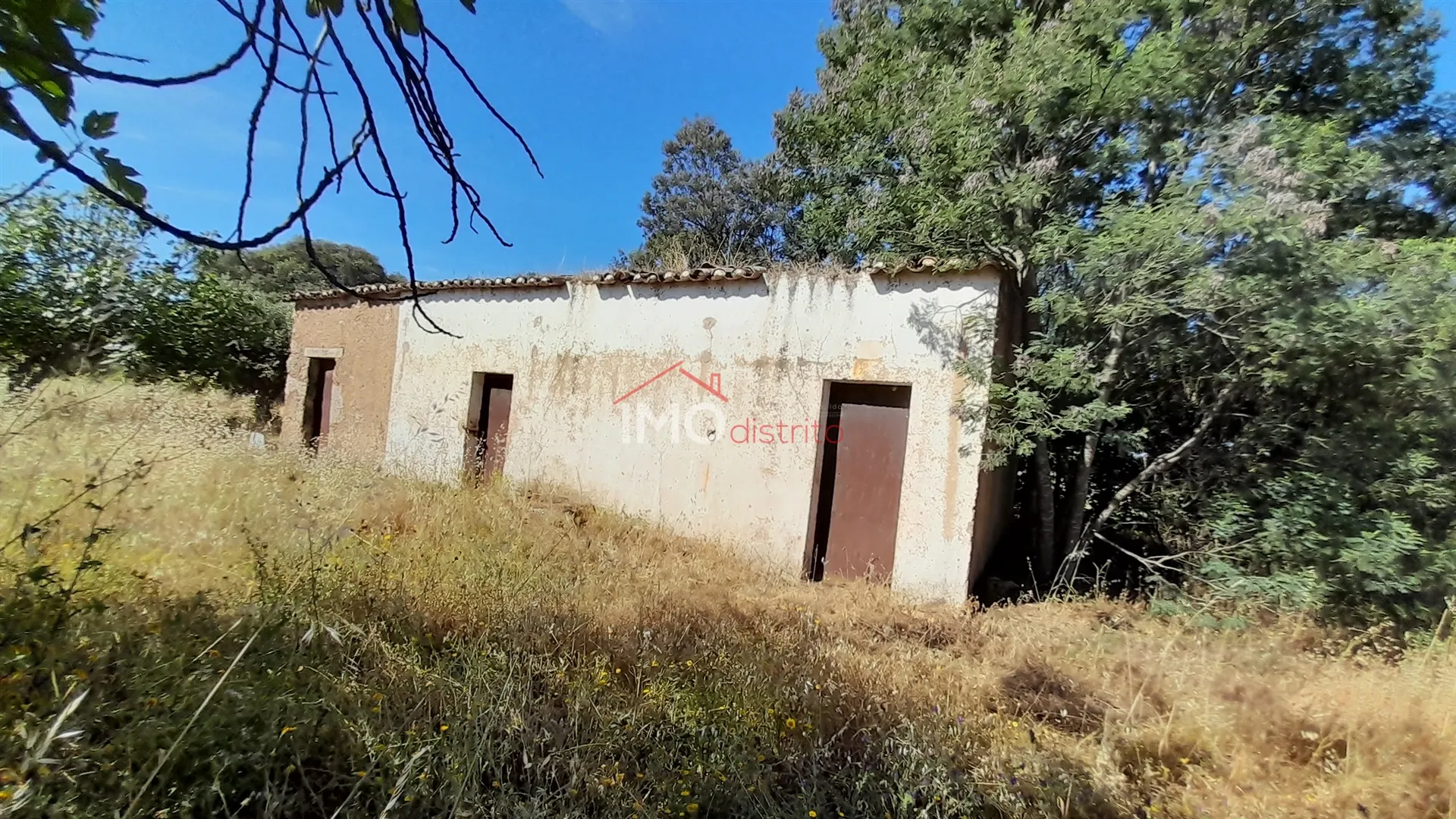 Terreno Rstico T0 - Esprito Santo, Nisa, Portalegre - Miniatura: 5/9