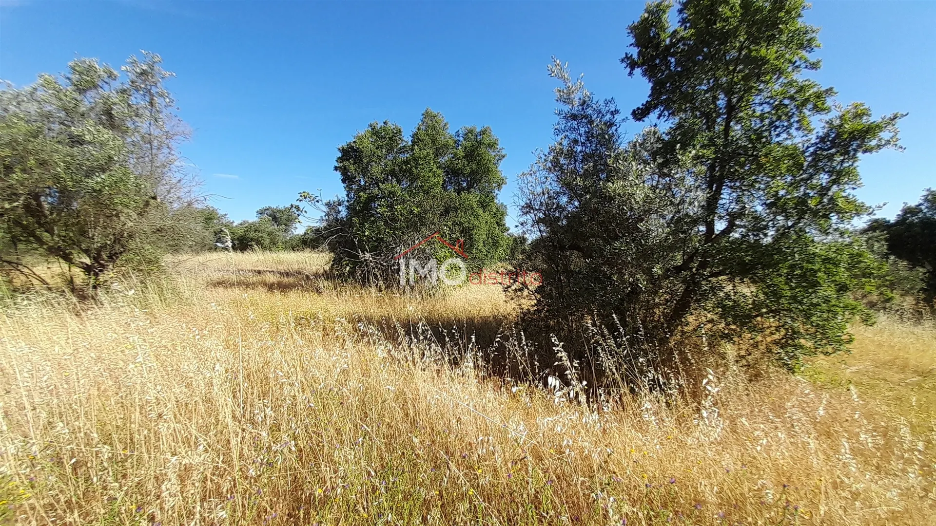 Terreno Rstico T0 - Esprito Santo, Nisa, Portalegre - Miniatura: 6/9