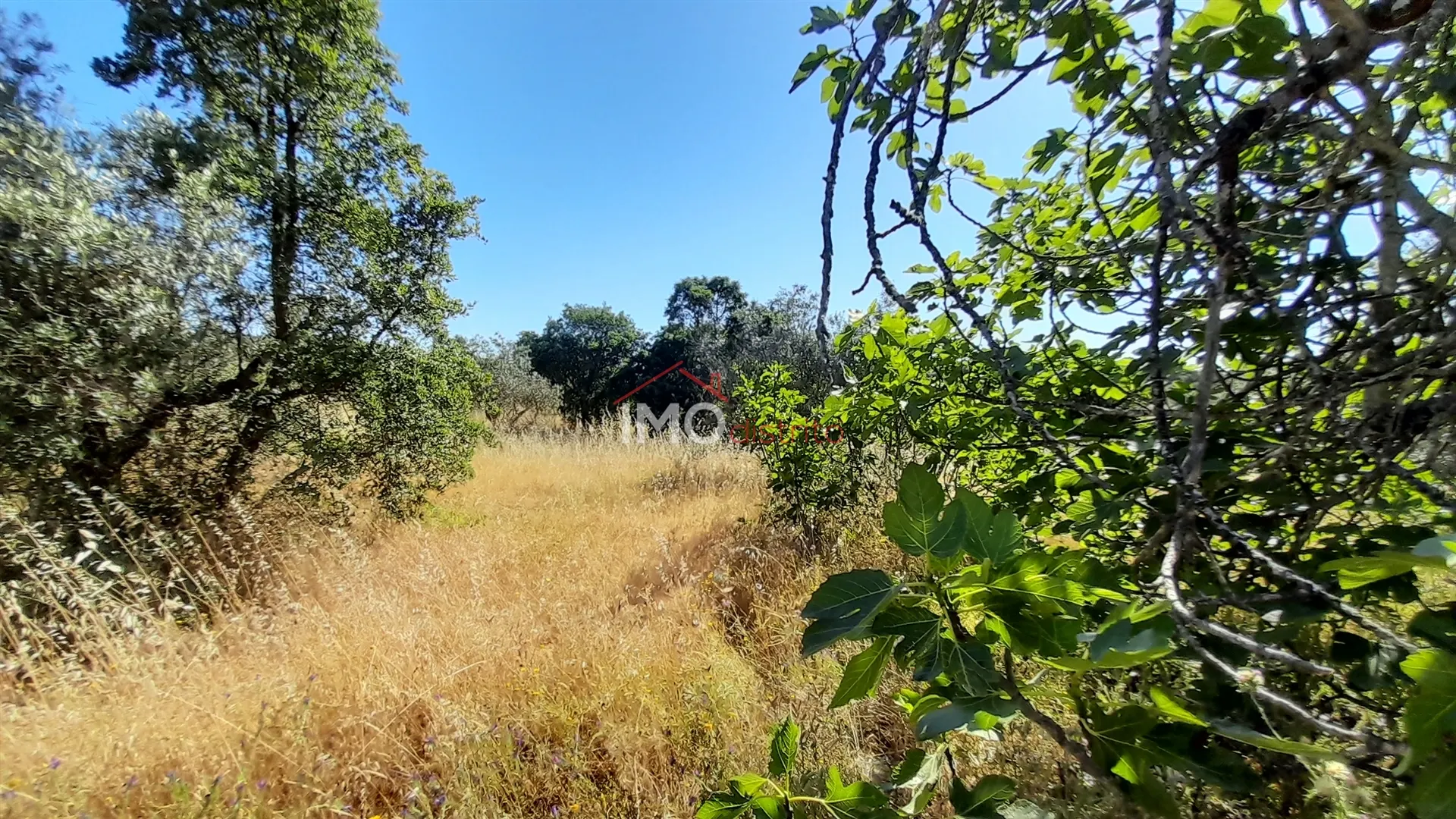 Terreno Rstico T0 - Esprito Santo, Nisa, Portalegre - Miniatura: 7/9