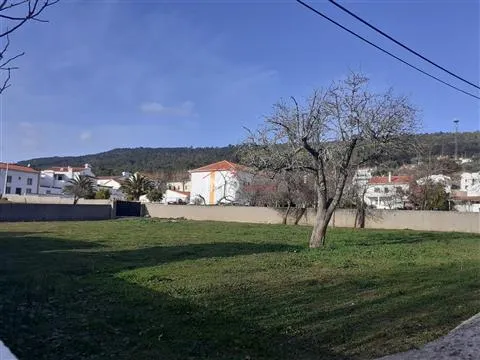 Terreno Urbano T0 - So Salvador da Aramenha, Marvo, Portalegre - Miniatura: 3/9