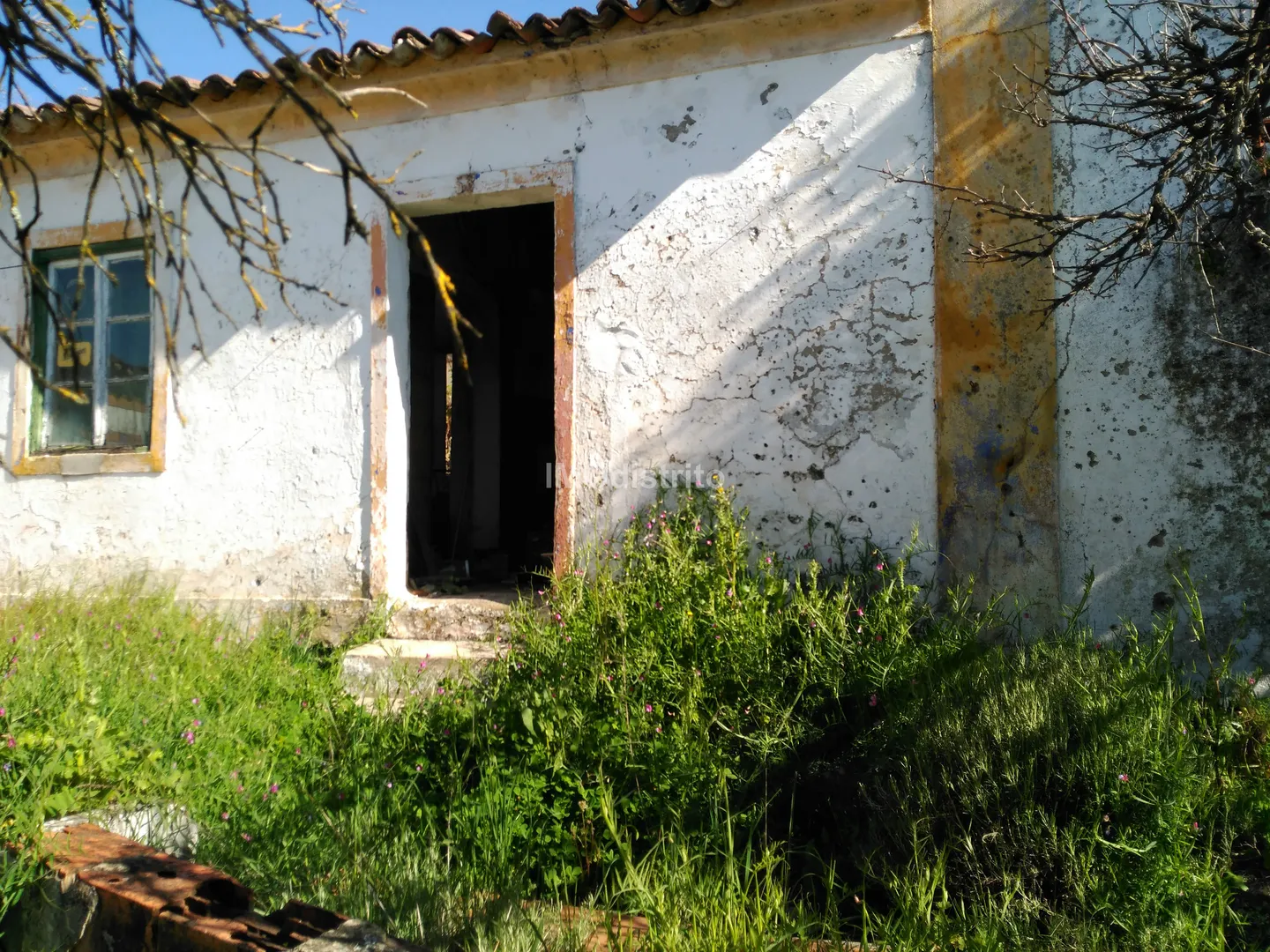 Quinta T6 - Ribeira de Nisa, Portalegre, Portalegre - Miniatura: 4/9