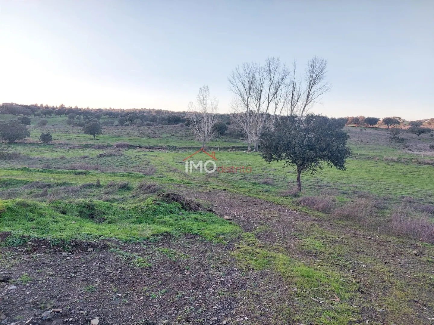 Terreno Rstico T0 - Esprito Santo, Nisa, Portalegre - Miniatura: 1/9