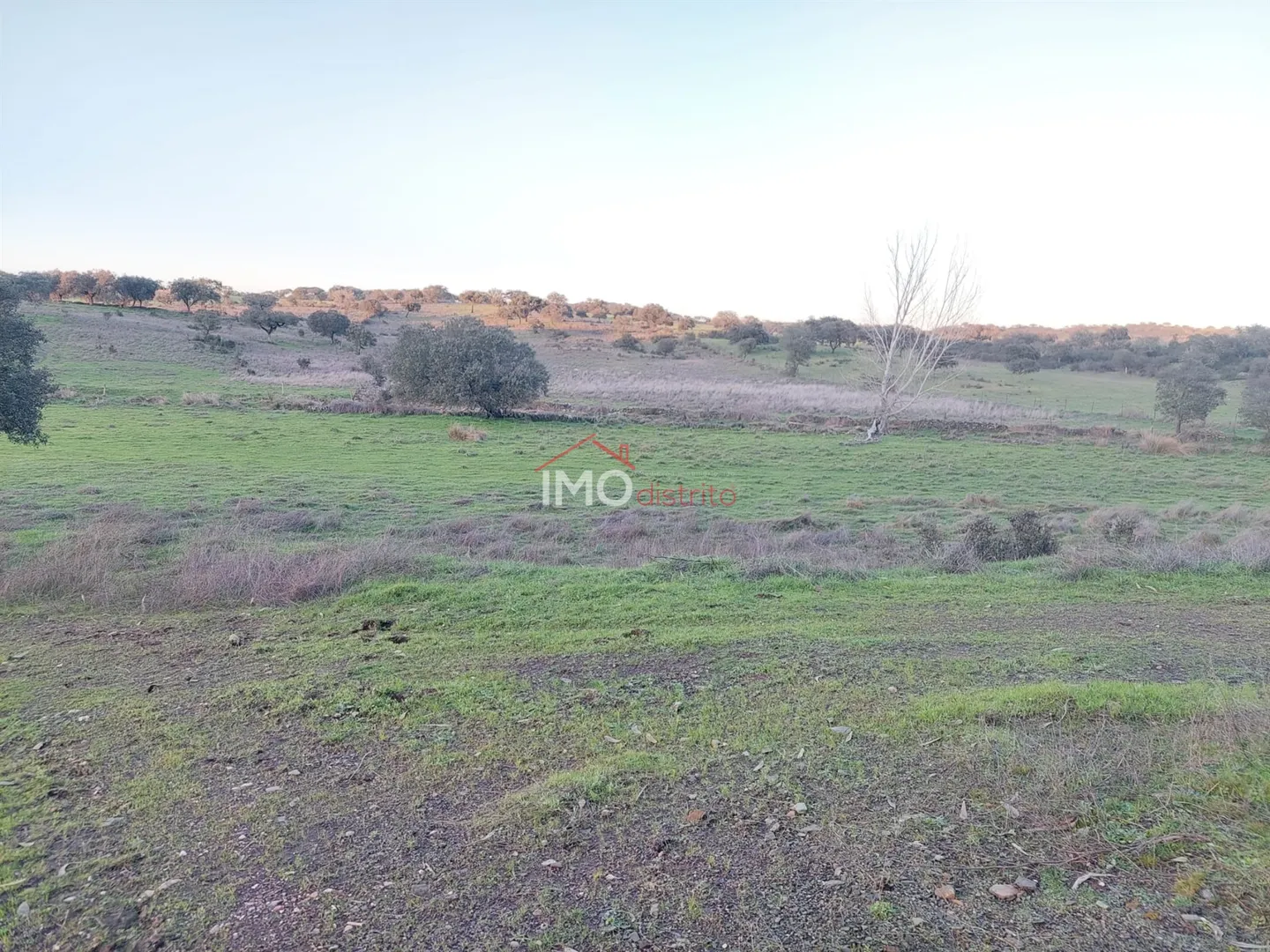Terreno Rstico T0 - Esprito Santo, Nisa, Portalegre - Miniatura: 6/9
